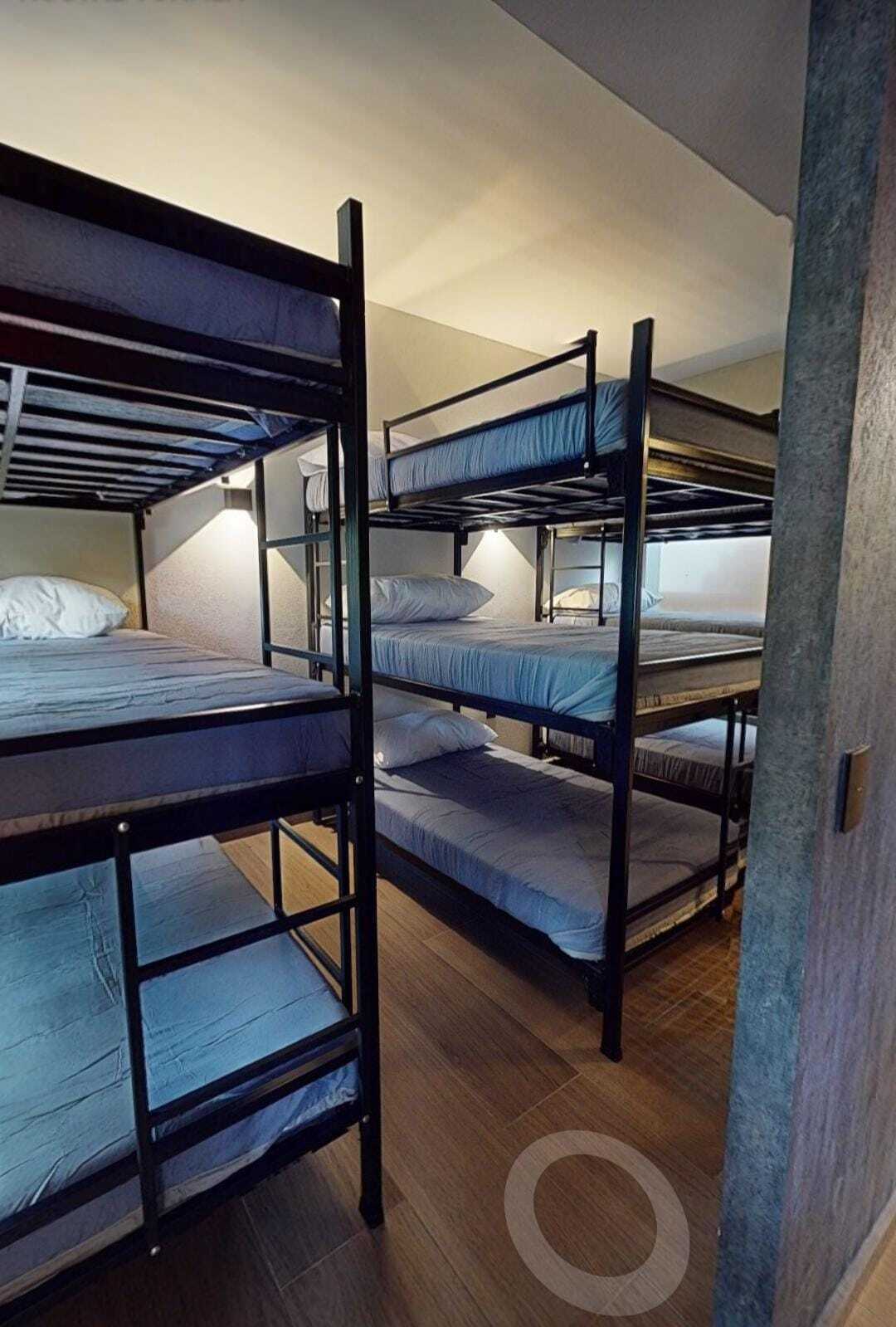 Basic Shared Dormitory | WiFi (free)