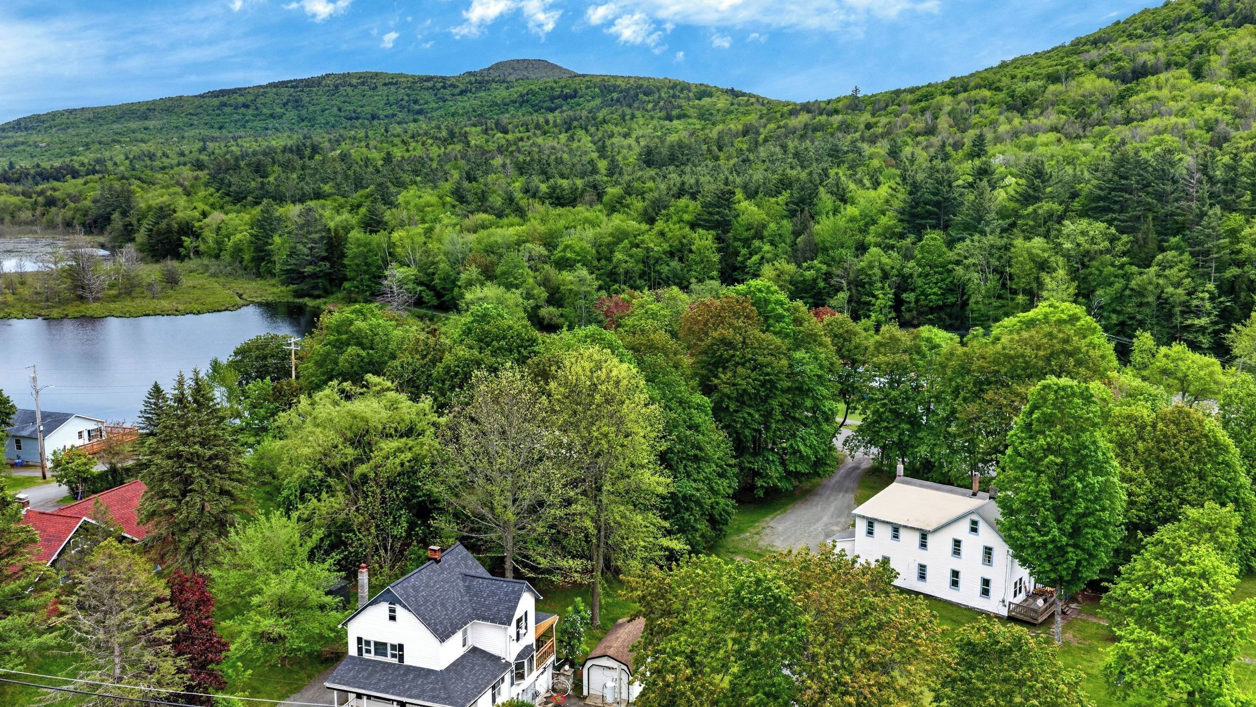 Et boligområde med huse omgivet af tæt skov og en sø.