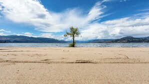 A beach with a single tree, a clear sky, and distant mountains.