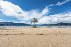 Una playa con un solo árbol, cielo despejado y montañas a lo lejos.