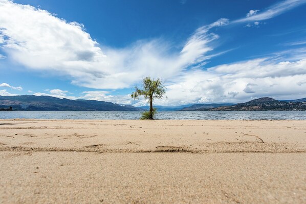 Ein Strand mit einer einzelnen Baum, einem klaren Himmel und Bergen in der Ferne.