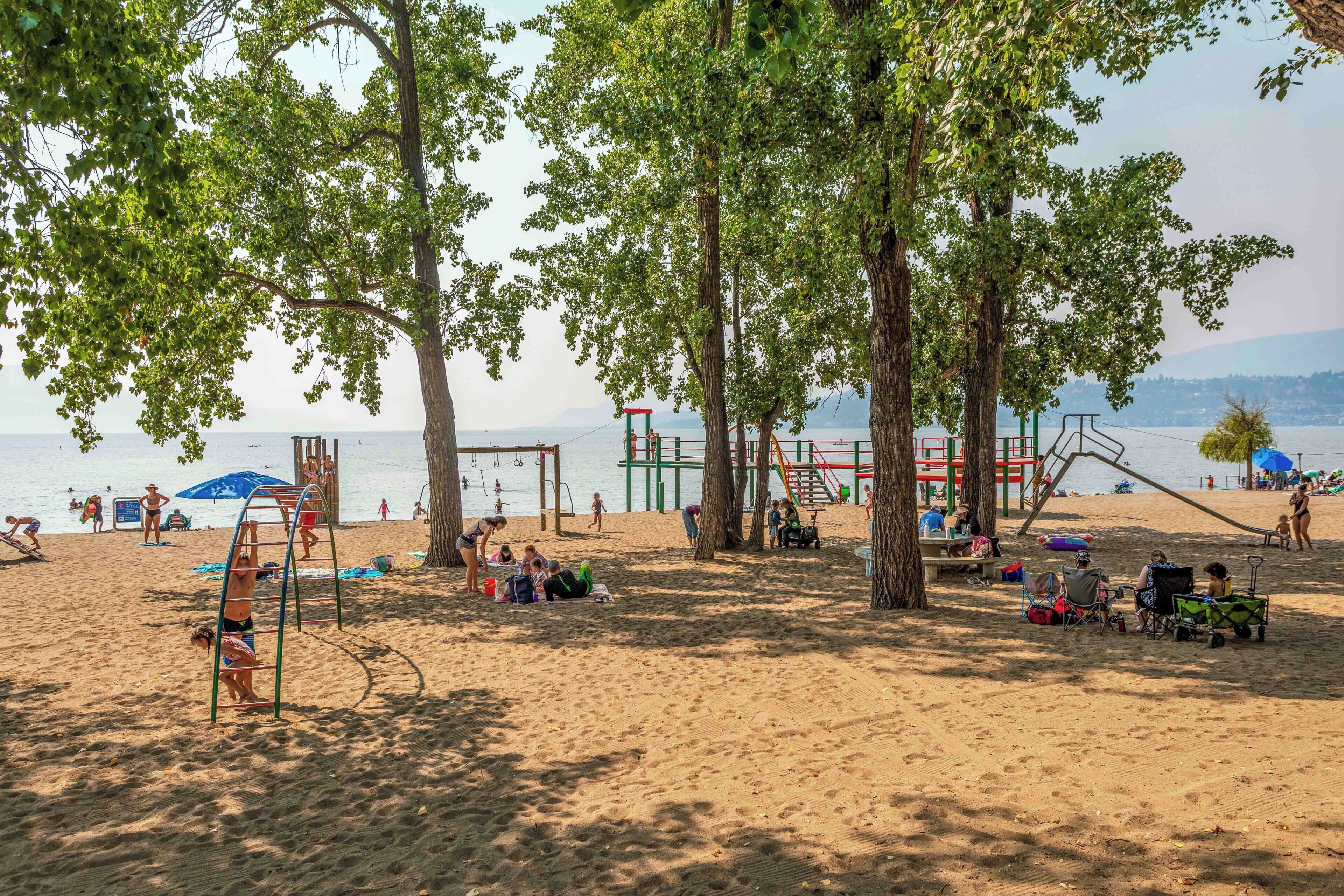 A beach with trees, a playground, and people.