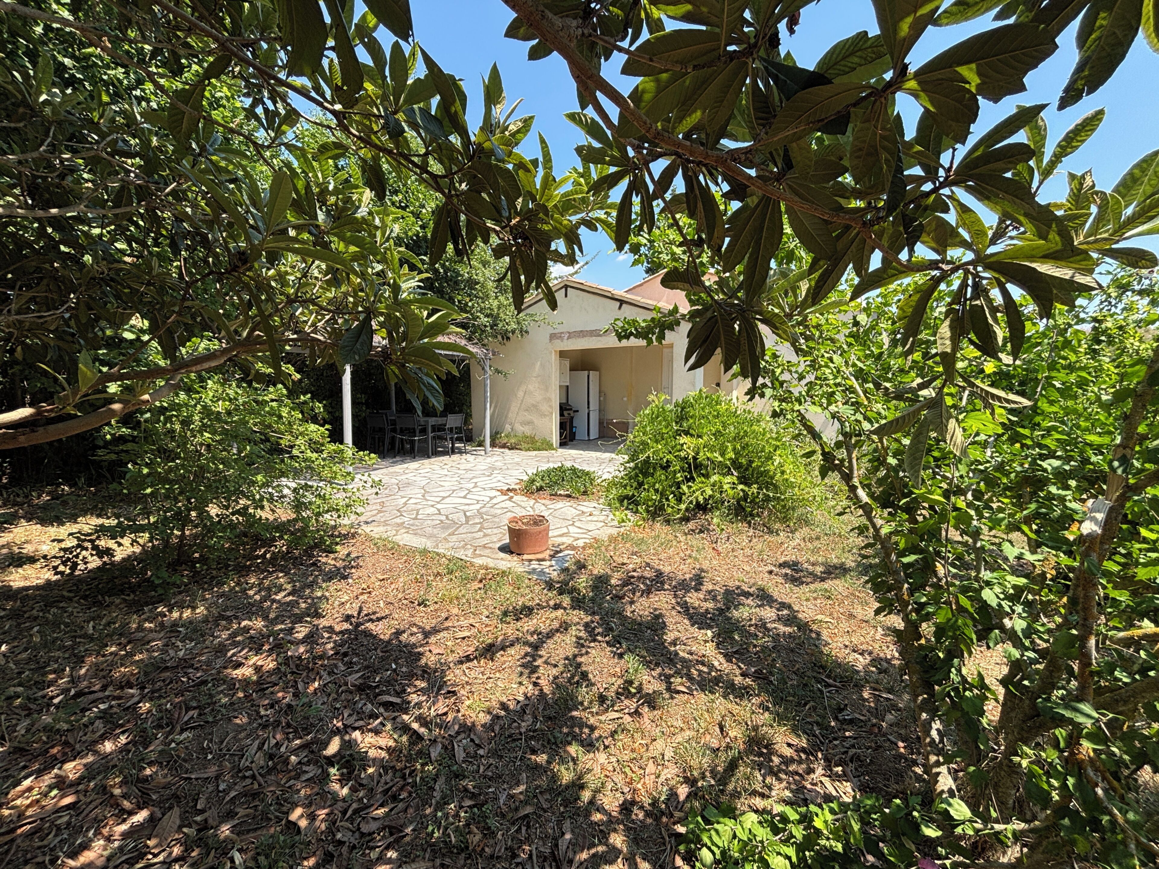A courtyard with a stone pathway leading to a building, surrounded by dense foliage.