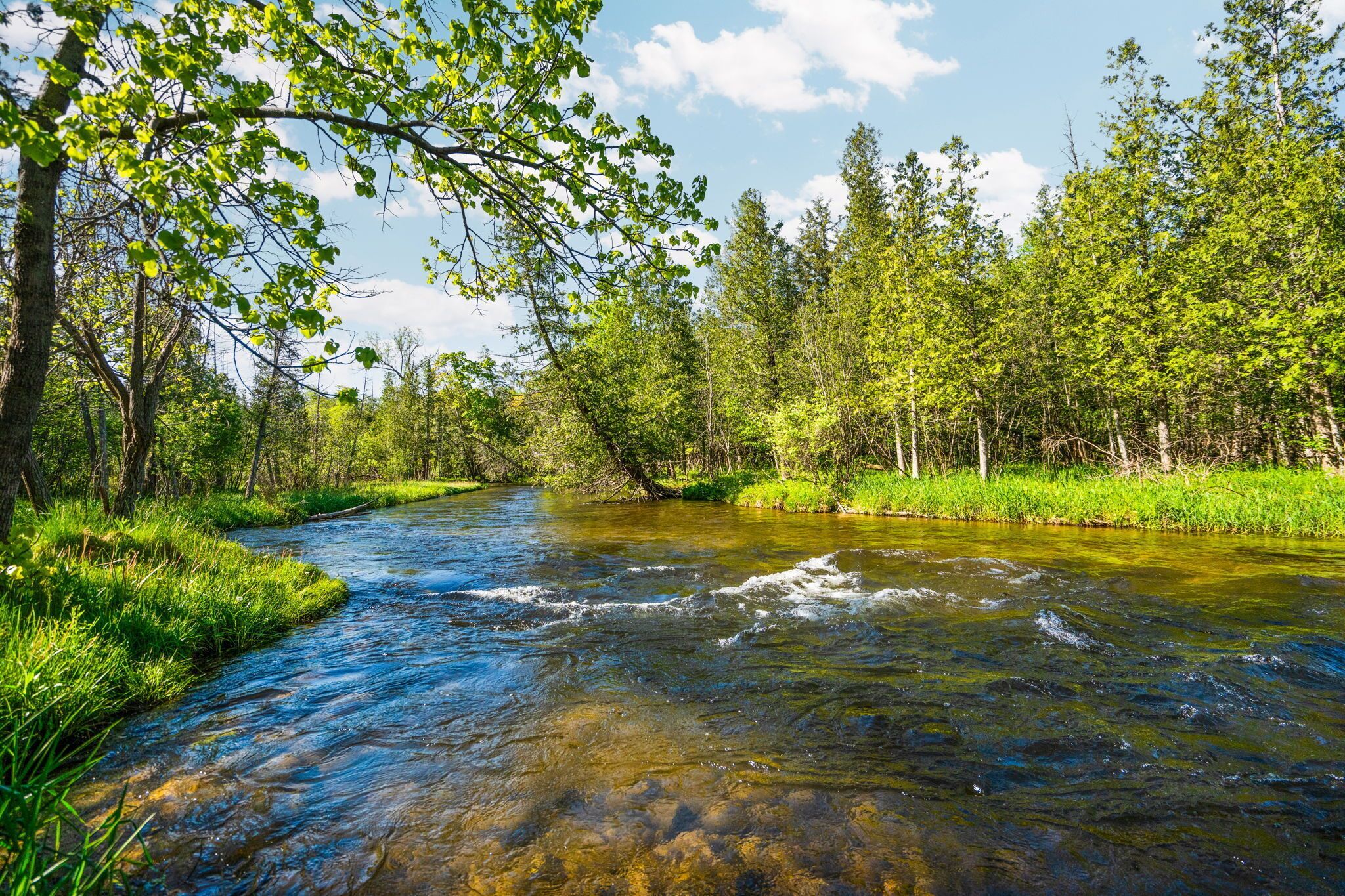 A river flowing through a forested area with trees and greenery on both sides.