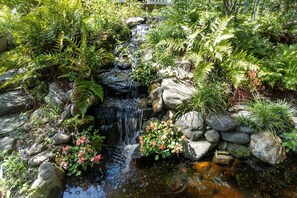 Ein kleiner Wasserfall, umgeben von Felsen und Pflanzen.