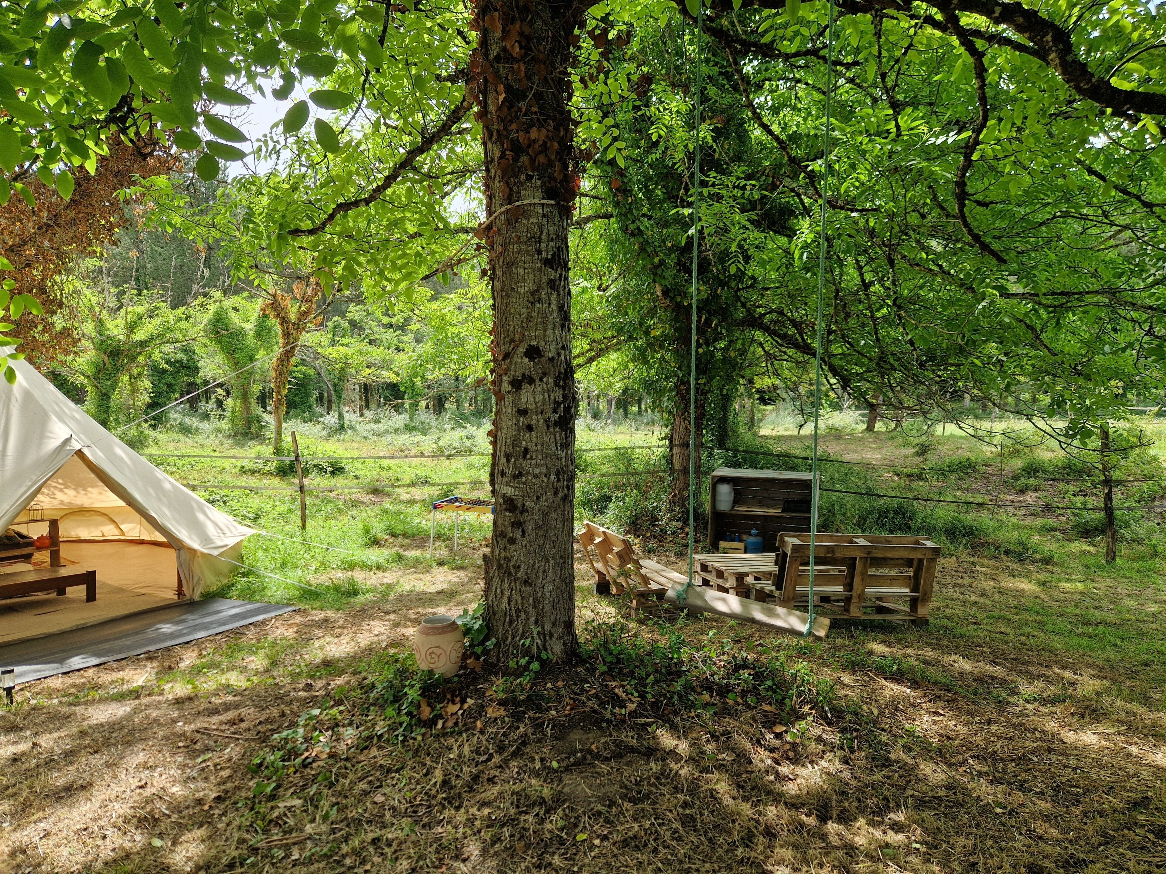 Un espace de camping aménagé avec des tentes, un banc en bois et une boîte de rangement.