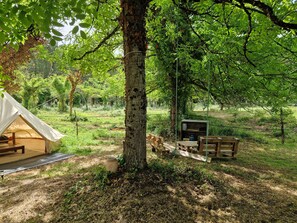 Property grounds - Equestrian experience and private Nordic bath. (Ambrus)