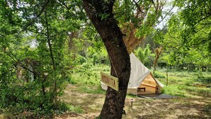 Ett tält märkt med texten ”AMONITA” står i ett skogsområde med en jordig mark och träd.