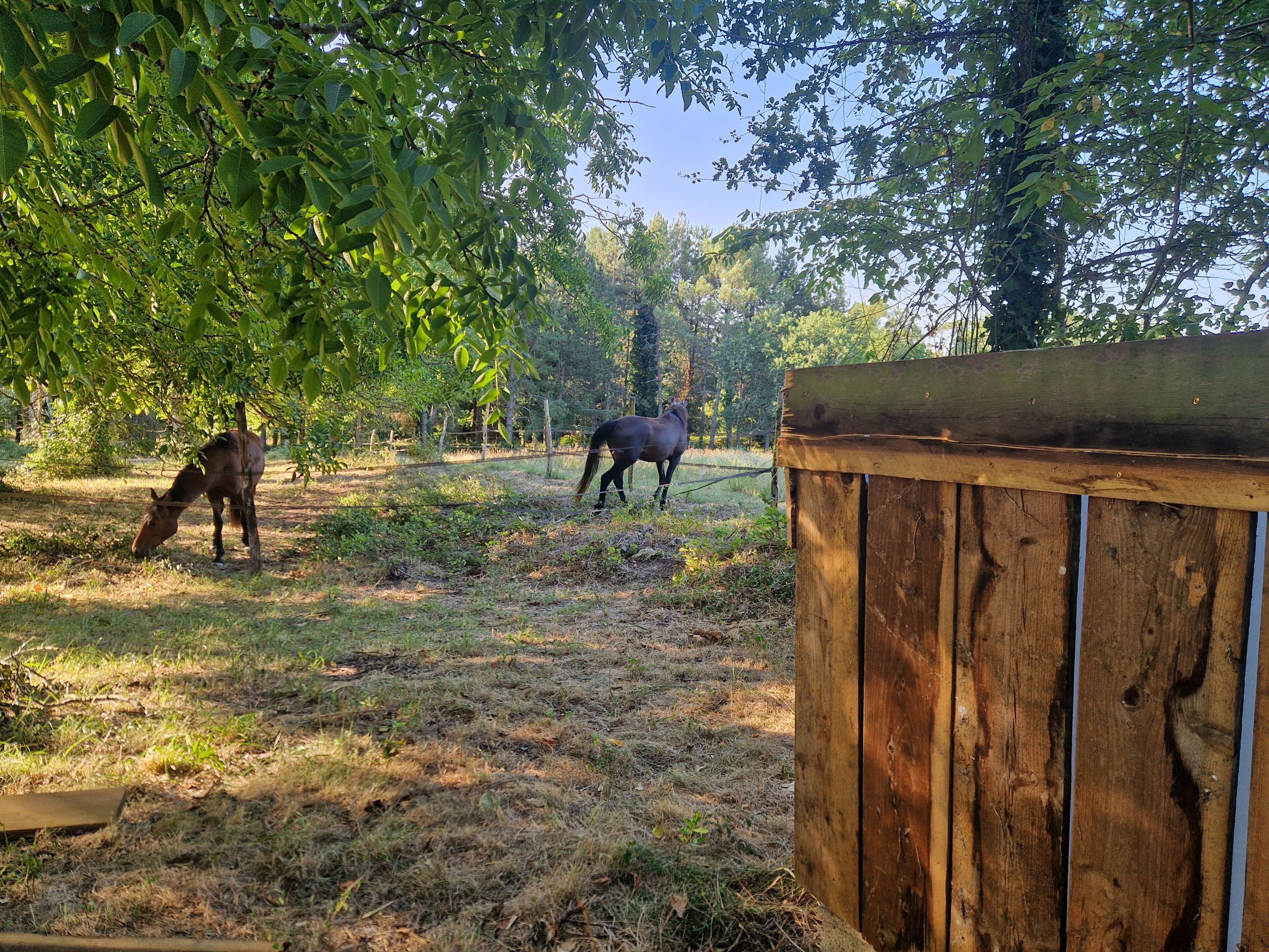 A stable with two horses grazing in a fenced pasture.