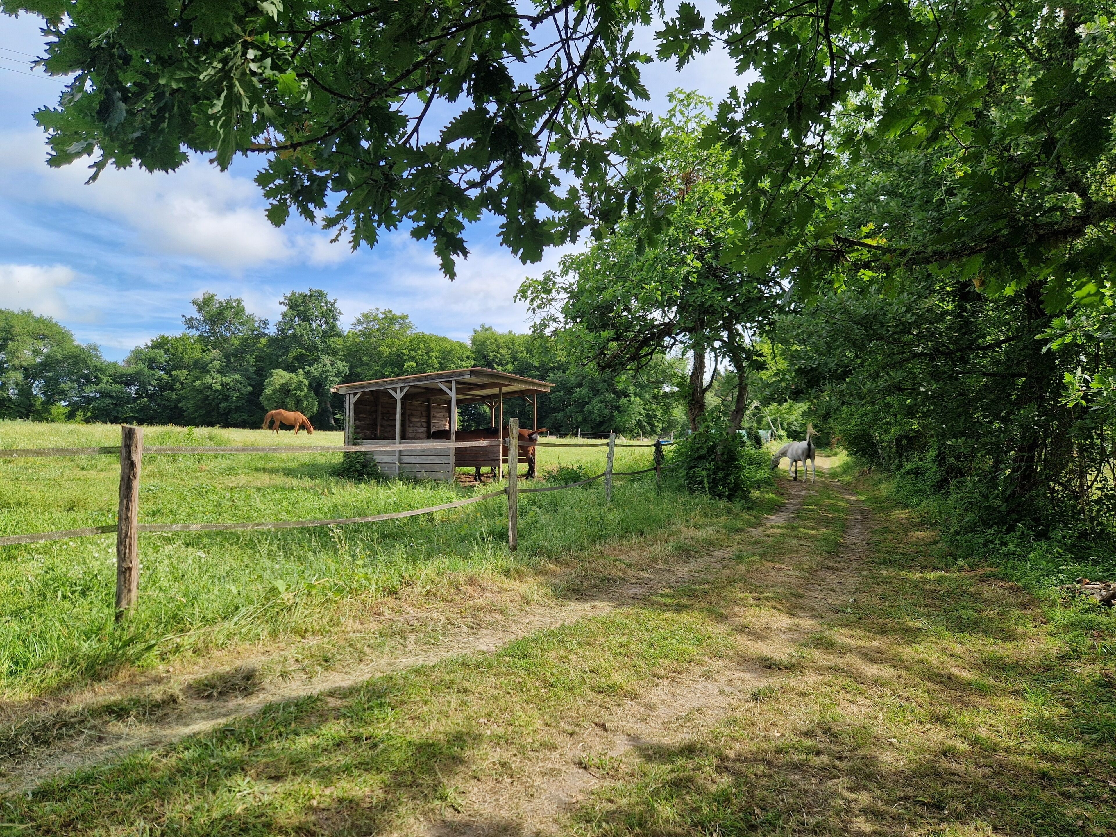 Enceinte de l’hébergement
