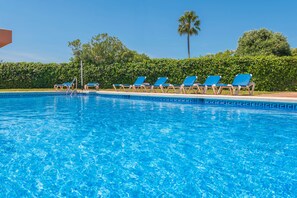 Ein klarer, blauer Swimmingpool mit Liegestühlen am Rand, eine Palme und ein Heckenstreifen im Hintergrund.