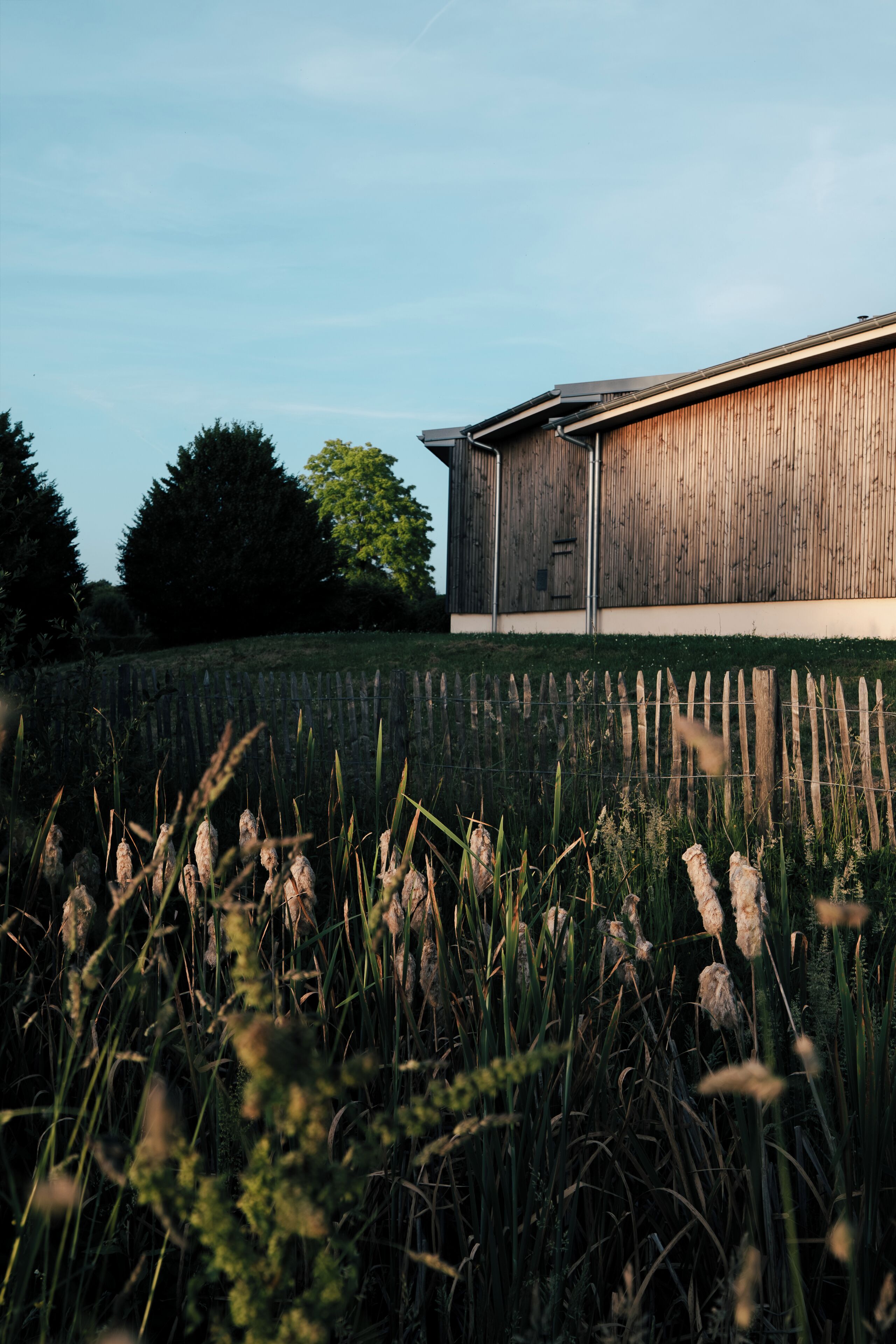 A building with a wooden exterior, surrounded by a grassy field and trees.