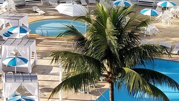 Un área de piscina con múltiples sillas de descanso y sombrillas, una palmera y una piscina azul cristalina.