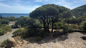 A stone patio with a view of a coastal landscape, including a large tree and distant hills. - Le Mas des 3 Frères - sea view - 200m walk to the beach - Domaine de l'Escalet (Ramatuelle)