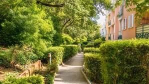 Un camí vorejat per alts arbustos i arbres ben tallats, que condueix a una filera d'edificis amb balcons.