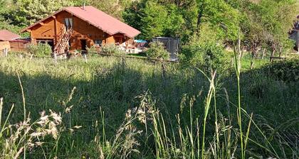 Petit studio,netflix,terrasse en pleine nature, piscine ✨animaux acceptés