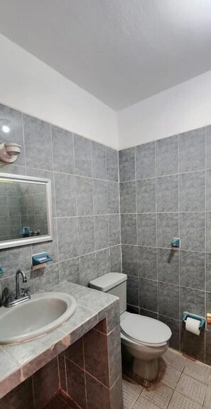 Un baño con lavabo, inodoro y espejo.