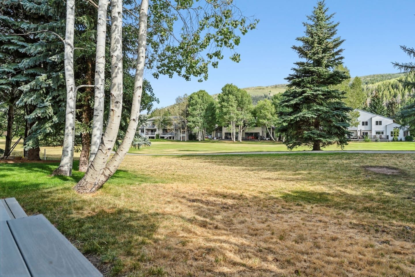 A grassy outdoor area with trees and a building in the background.