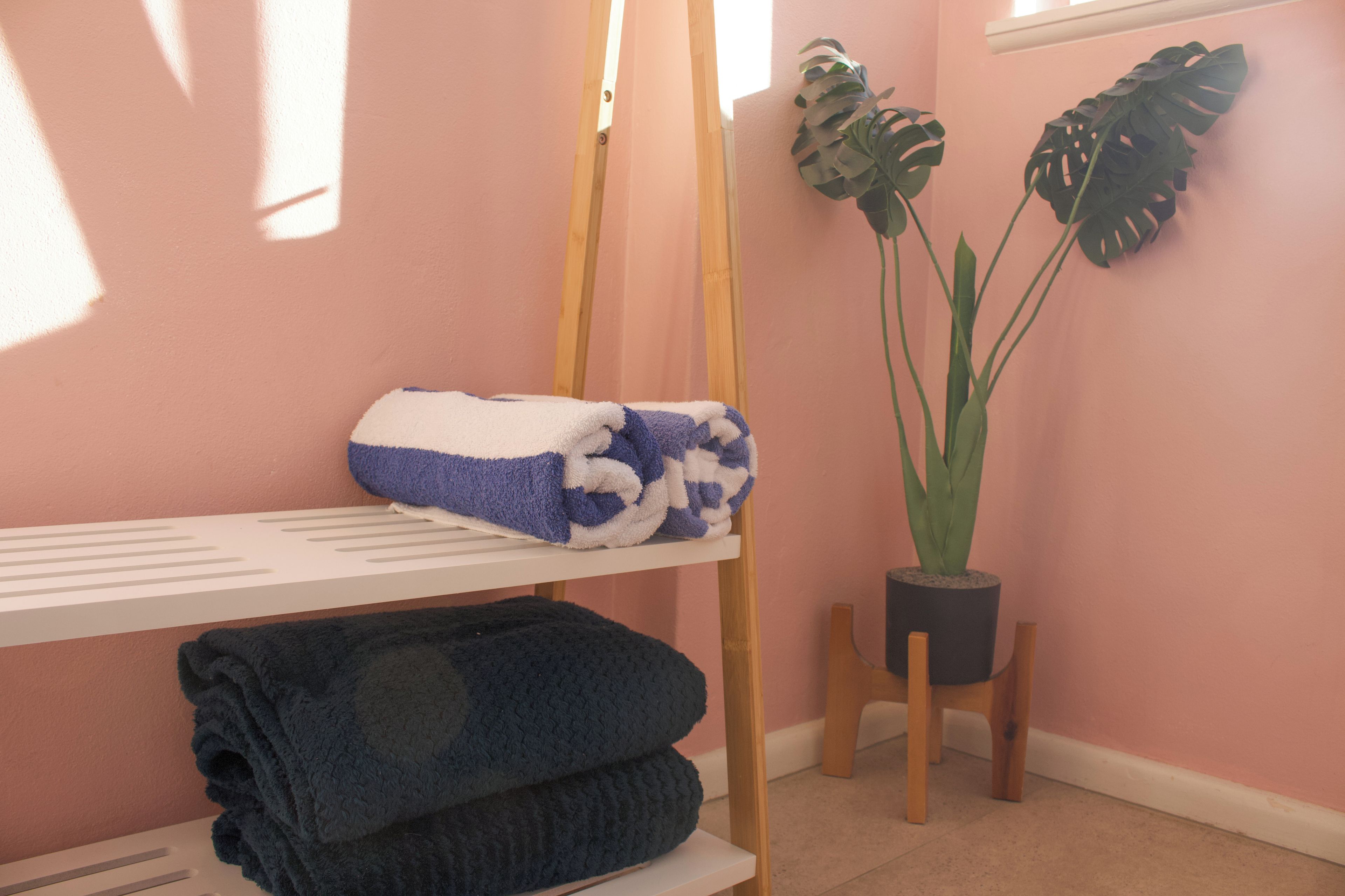 A room with a bunk bed, a potted plant, and a window.