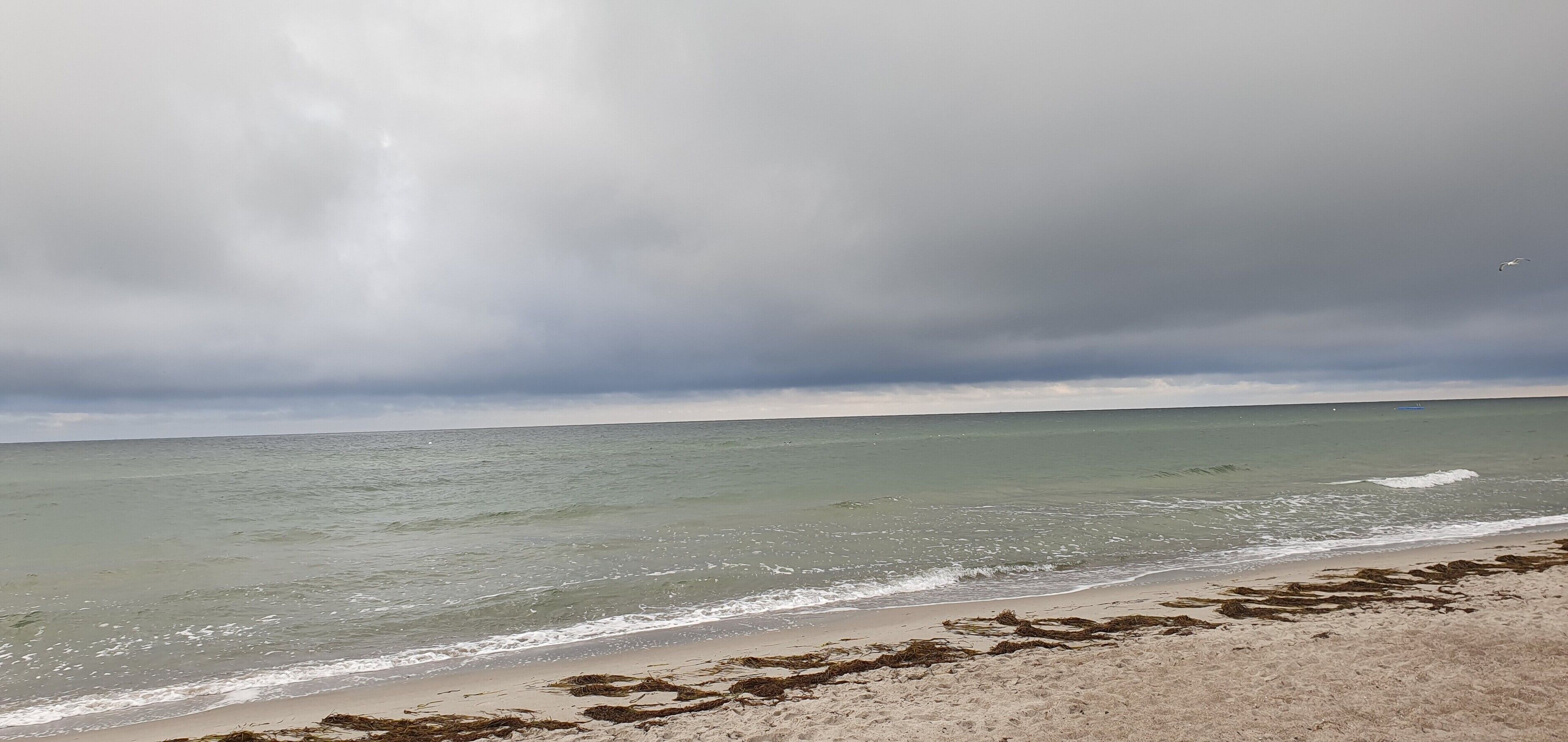 Een strand met golven, een bewolkte lucht en wier op het zand.