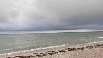 En strand med bølger, en overskyet himmel og tang i sandet.