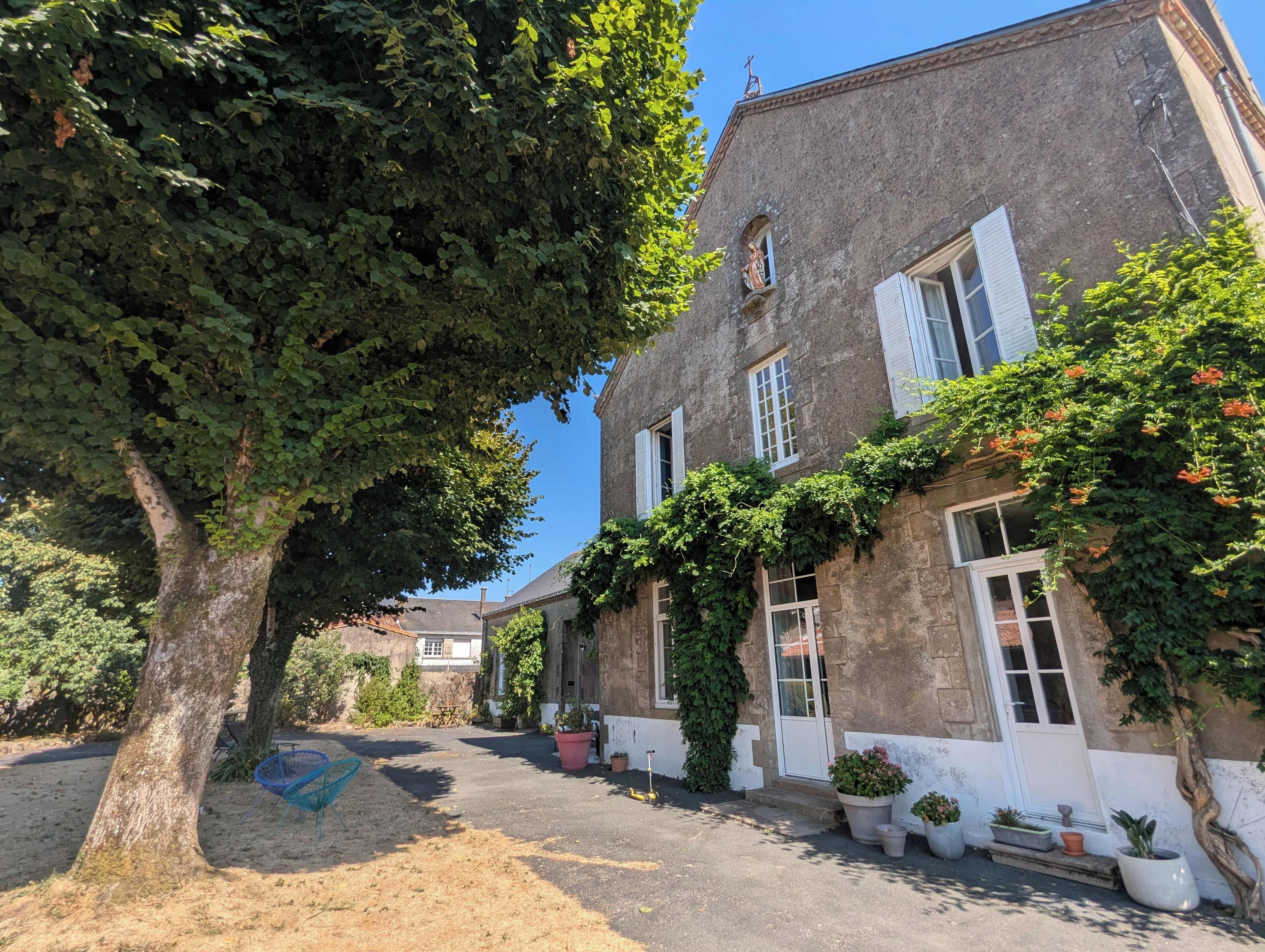 Un patio con un árbol grande, un edificio cubierto de hiedra y plantas en macetas.