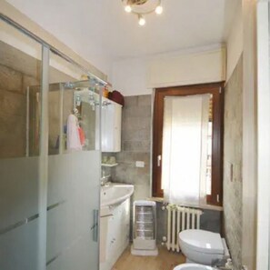 Shower, hair dryer, bidet, towels - Cosy mountain apartment. 15km km from the VoieLactée ski area, (Roure)