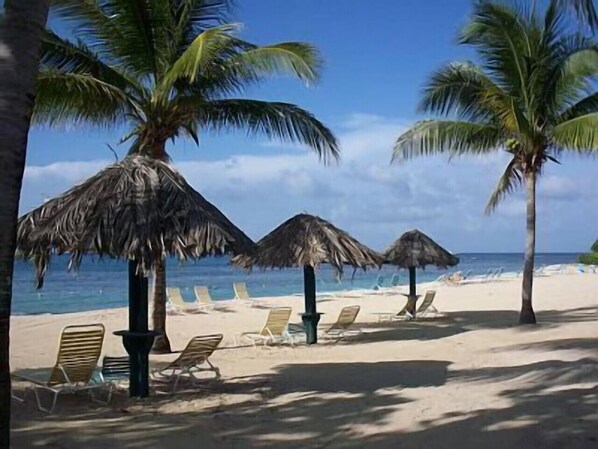 Ein Strand mit Palmen, Liegestühlen und Reetdachschirmen.