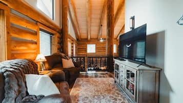 TV, fireplace, DVD player, books