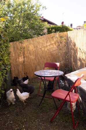 Ein umzäunter Garten mit einem runden Tisch, zwei Stühlen, einem kleinen Hund und mehreren Hühnern.