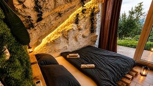 Un dormitori amb un llit, almoines, una tauleta de nit amb una làmpada, una paret amb plantes i una vista per la finestra.