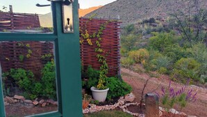 Une vue à travers une fenêtre à cadre vert, une clôture en bois et un jardin avec différentes plantes et un rocher.