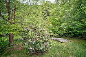 A lush garden with a variety of trees and shrubs, a wooden pathway, and a small wooden bridge. - Chetola Berkshires 3 - 3BR With 2 Sleeper Sofas-walk To Blowing Rock (Blowing Rock)