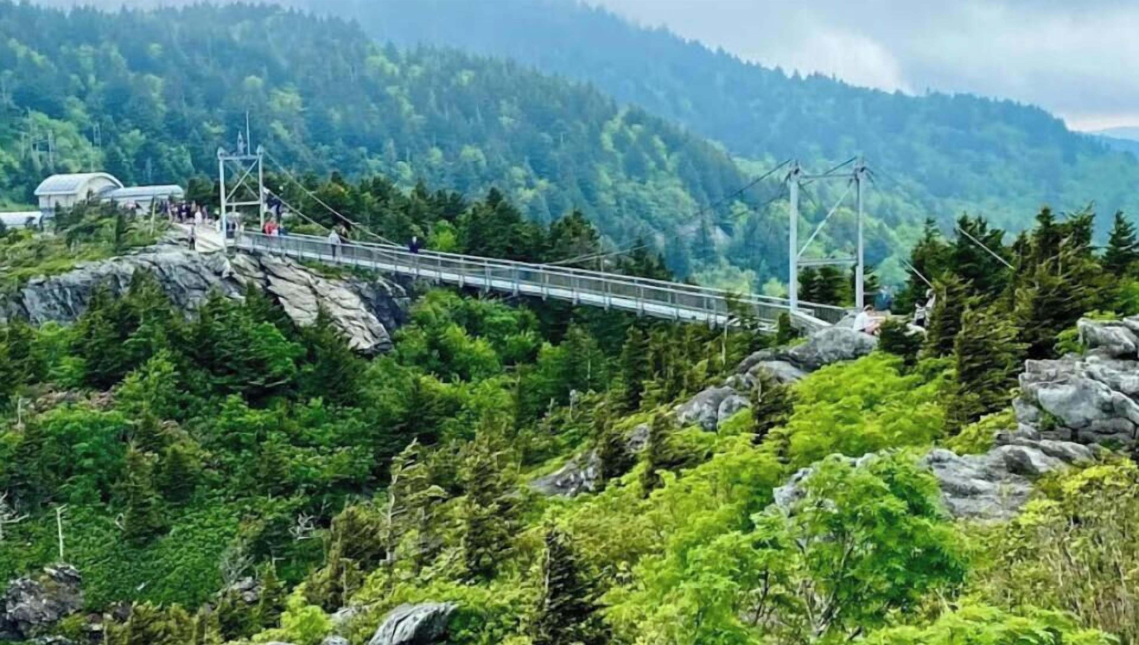 Un ponte sospeso sopra un terreno roccioso con una fitta foresta sullo sfondo.
