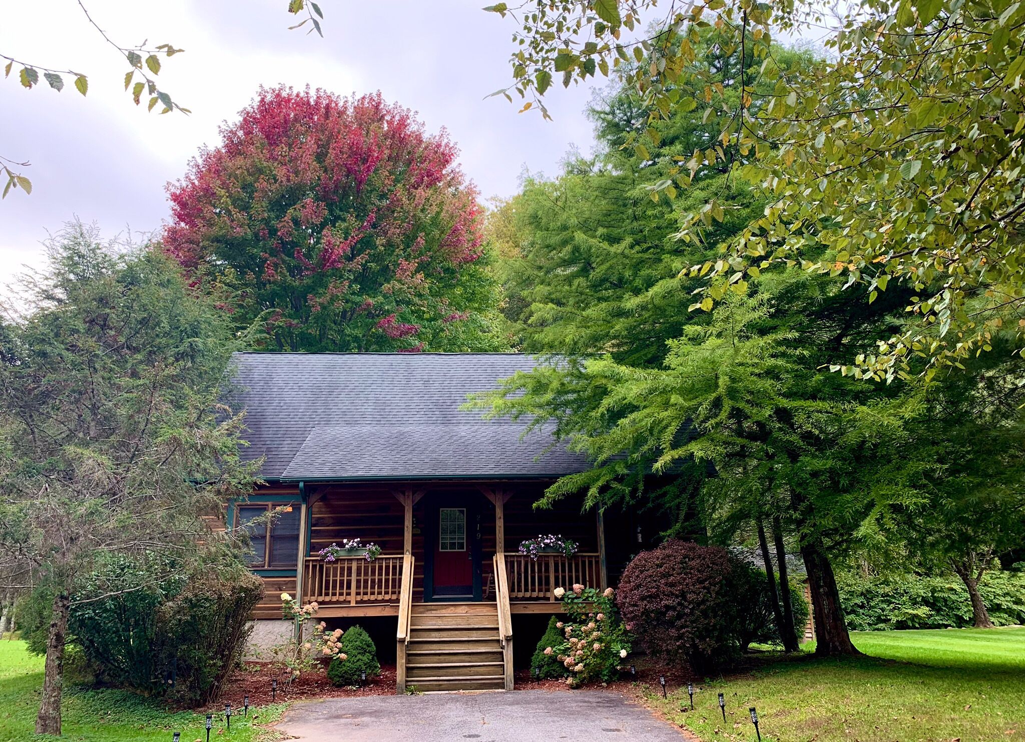 A wooden cabin with a porch, surrounded by lush greenery and trees.