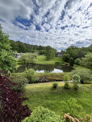 A serene landscape with a pond, lush greenery, and residential buildings in the background.
