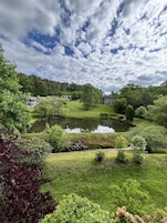 A serene landscape with a pond, lush greenery, and residential buildings in the background.