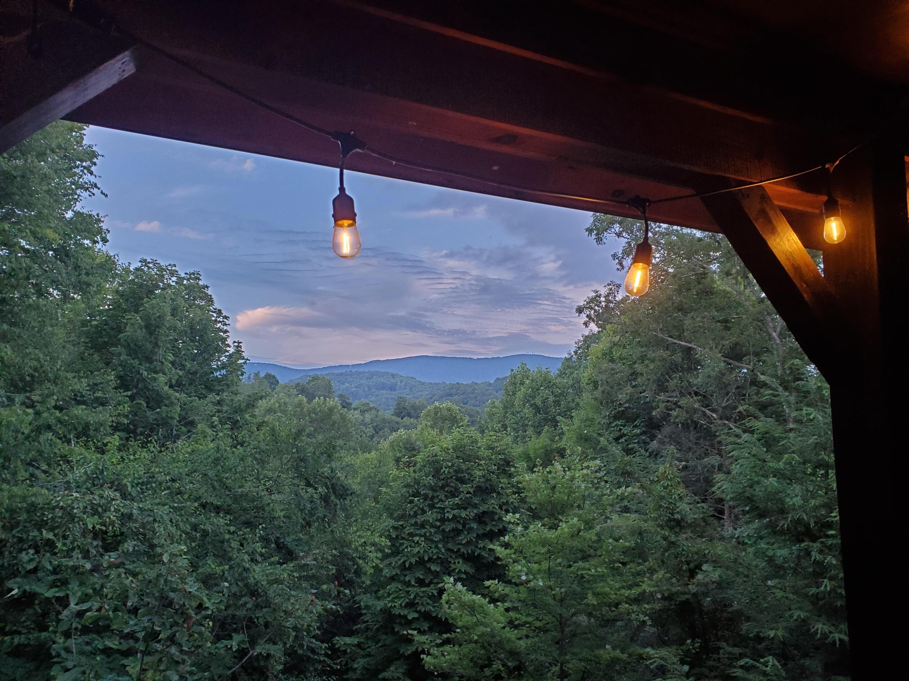 Blick von einer überdachten Terrasse mit hängenden Lampen und dichtem Blätterwerk.