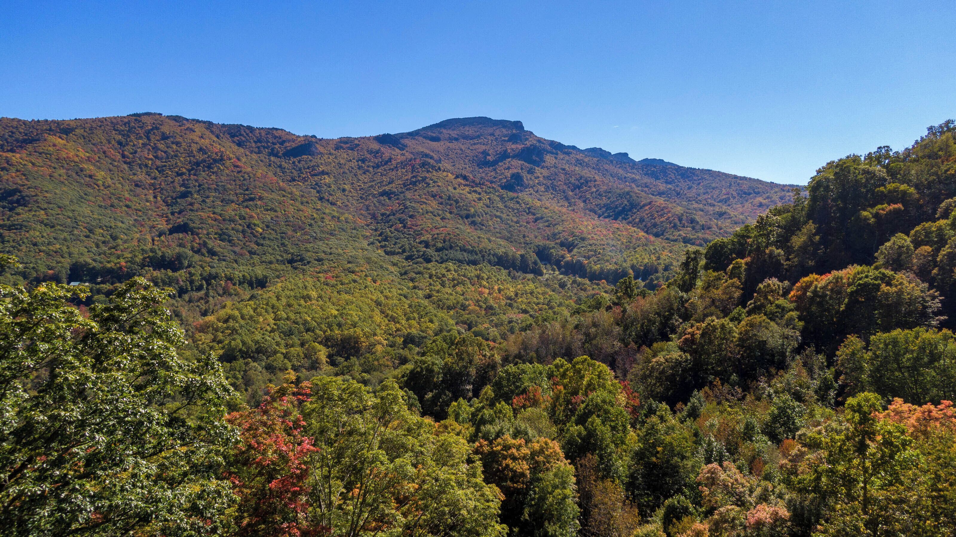 A mountainous landscape with dense forest.