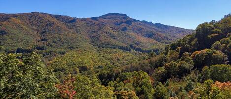 A mountainous landscape with dense forest.