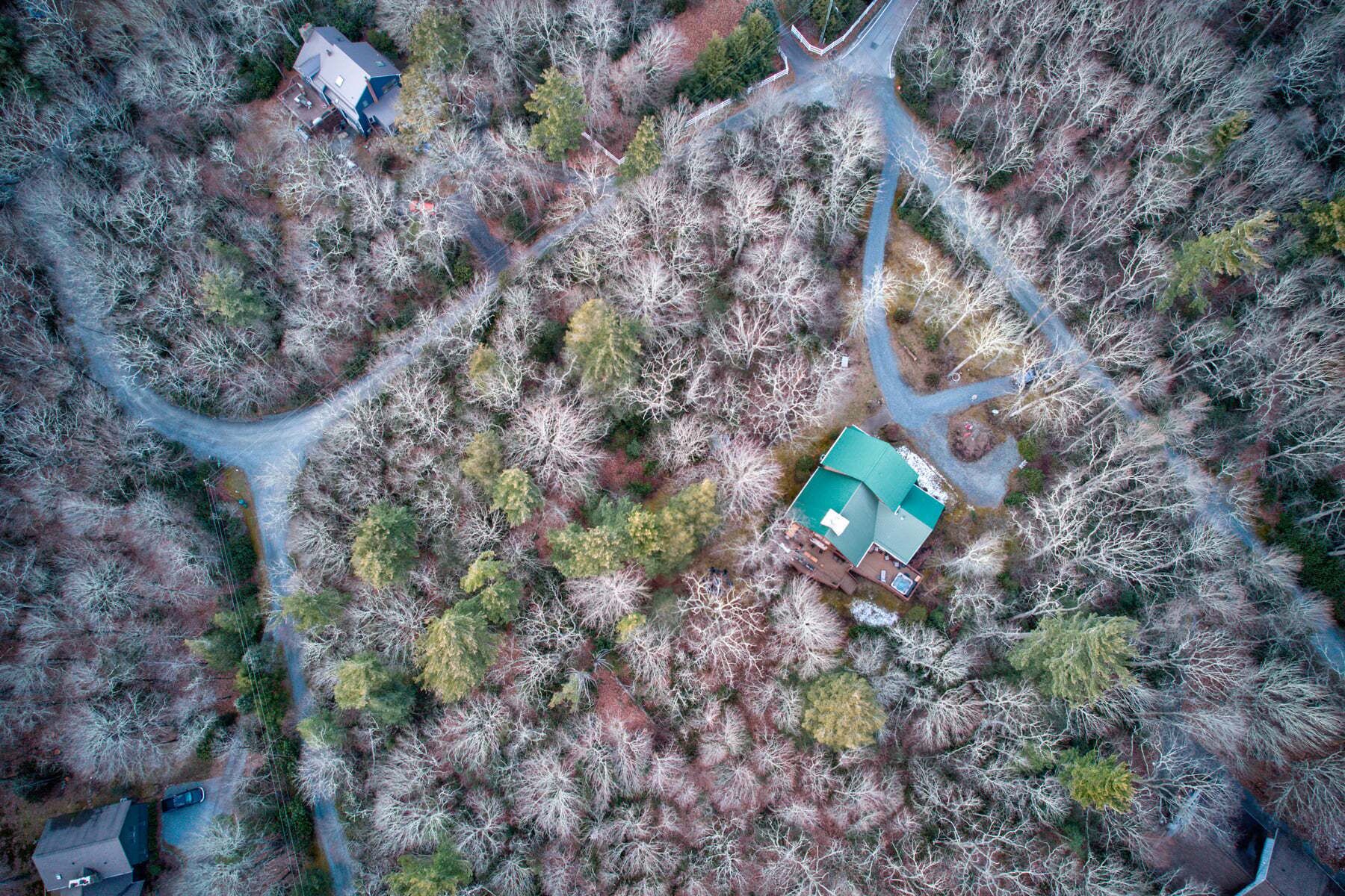 An aerial view of a property with a green-roofed house, a driveway, and surrounding trees.
