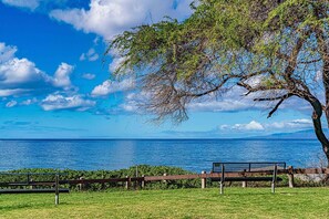 A bench, a tree, and a view of the sea. - Kamaole Sands 5-210 (Kihei)