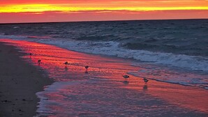 Ein Strand bei Sonnenuntergang mit Wellen und Vögeln.