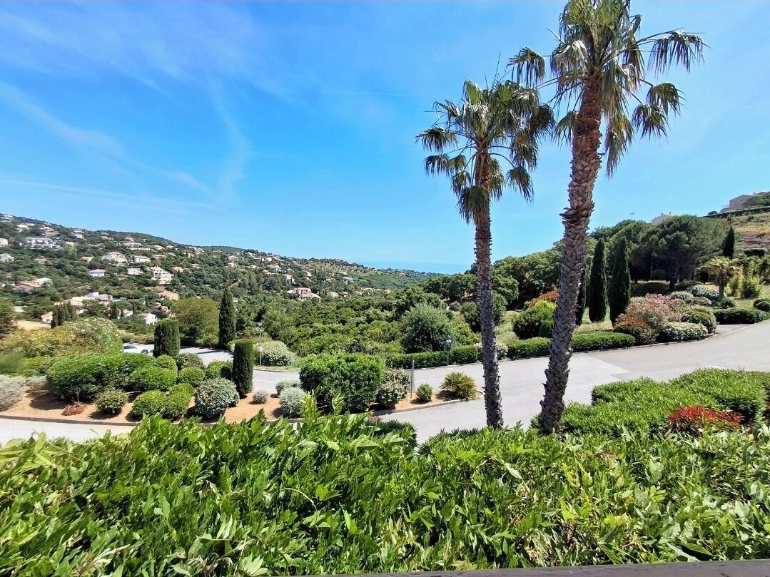 A landscaped garden with palm trees, a variety of shrubs, and a road leading to a residential area.