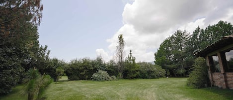 Een gazon met een bakstenen gebouw, omgeven door bomen en struiken.