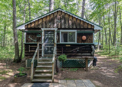 Woodland Cabin on Horshead Lake Cabin #3