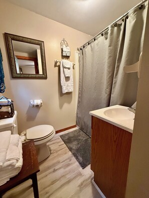 Hair dryer, towels, toilet paper