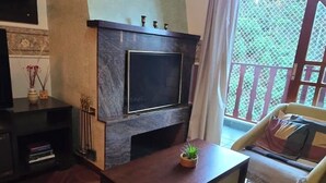 Smart-TV, Kamin