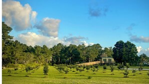Property grounds - Air conditioned Glamping Tent overlooking a beautiful orchard (Merritt)