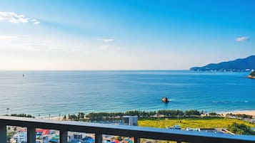 Vista costeira com céu claro, um corpo de água e uma linha de costa distante com edifícios.